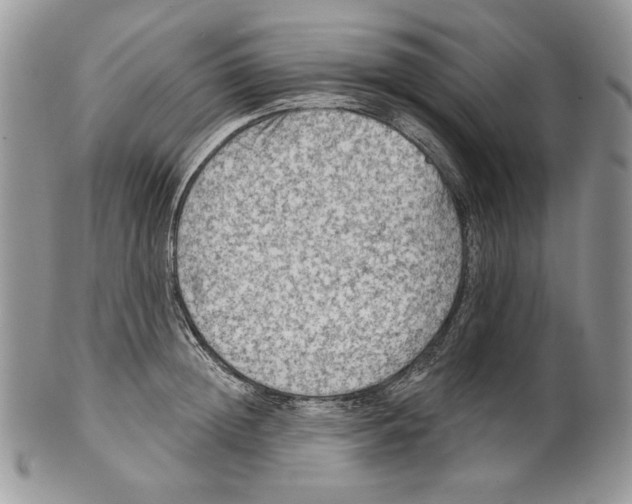 X0000101150852200807251046