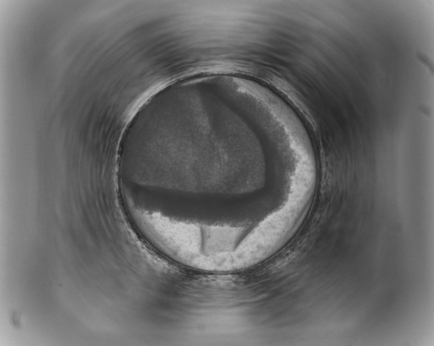 X0000101150853200807251046