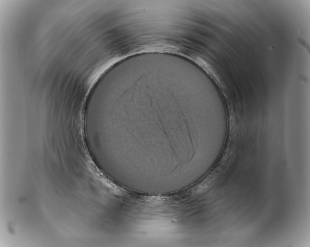 X0000101150854200807251046