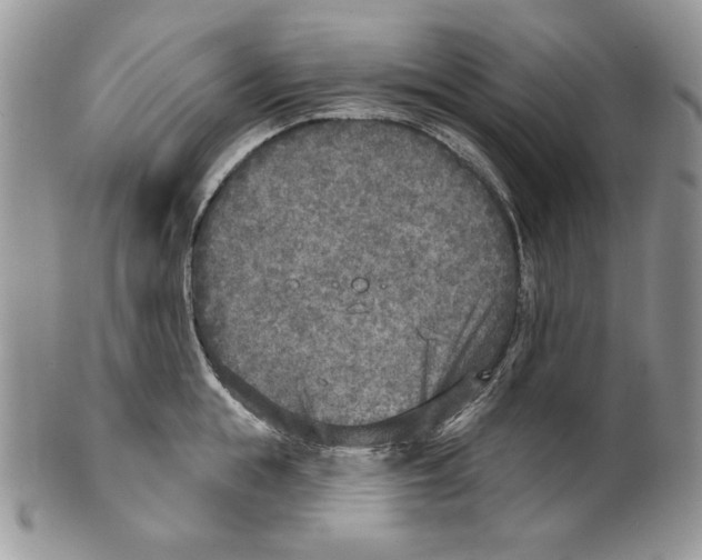 X0000101150855200807251046