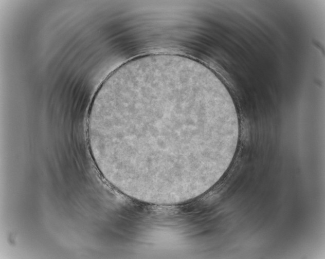 X0000101150856200807251046