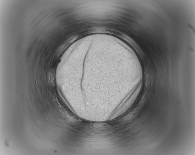 X0000101150857200807251046