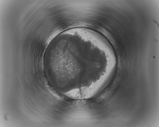 X0000101150858200807251046