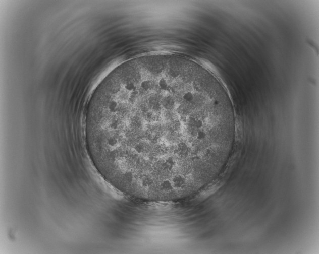 X0000101150859200807251046