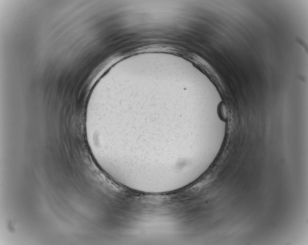X0000101150860200807251046