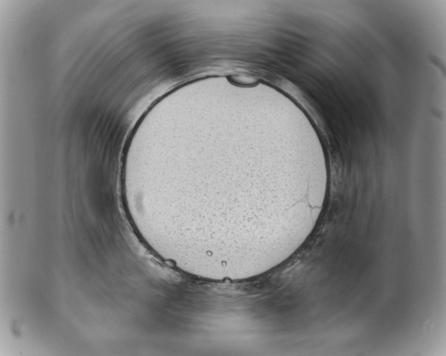 X0000101150861200807251046