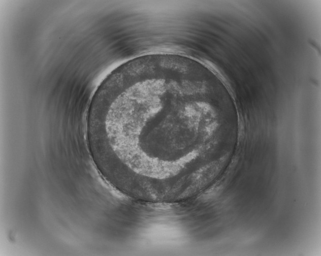 X0000101150862200807251046