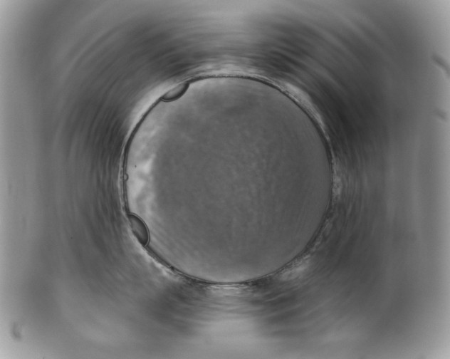 X0000101150863200807251046