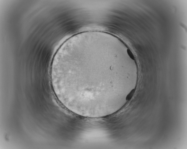 X0000101150864200807251047