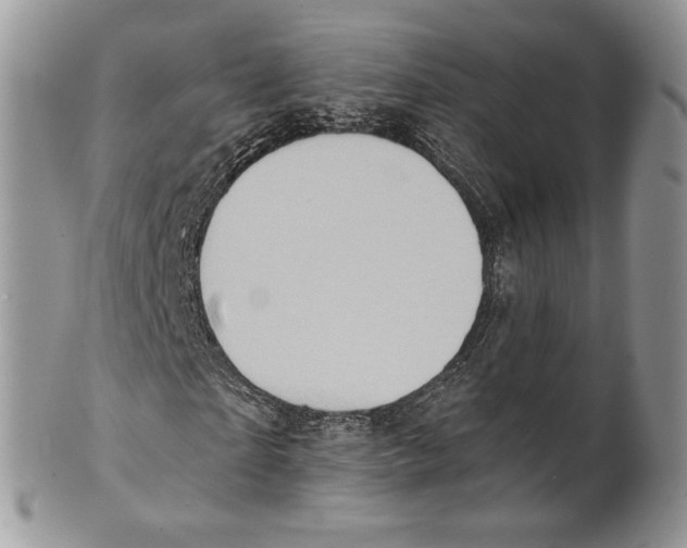 X0000101150865200807251046