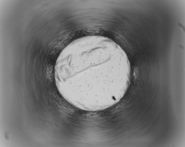X0000101150867200807251046