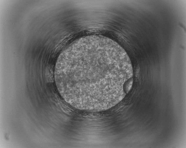 X0000101150868200807251046