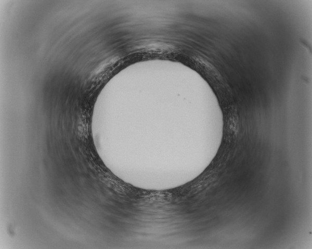 X0000101150869200807251046