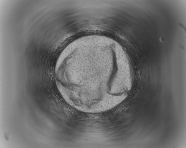X0000101150870200807251046