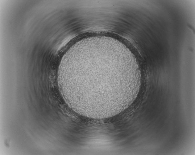 X0000101150871200807251046