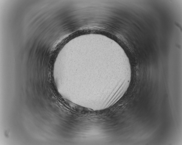 X0000101150872200807251046