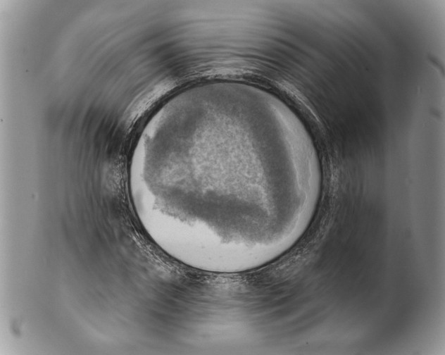 X0000101150874200807251046