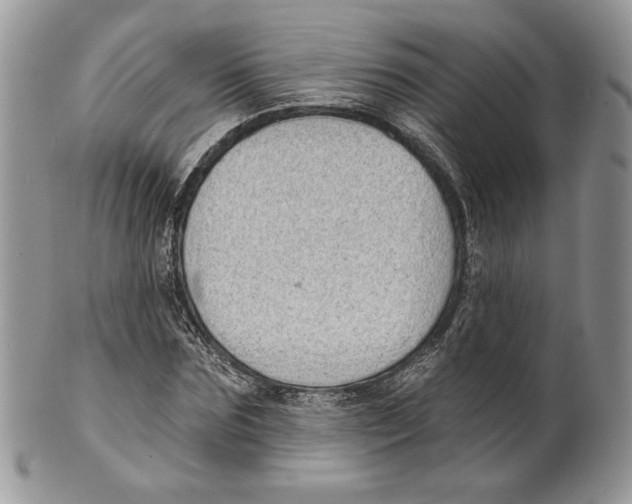 X0000101150875200807251046