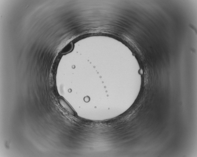 X0000101150876200807251046