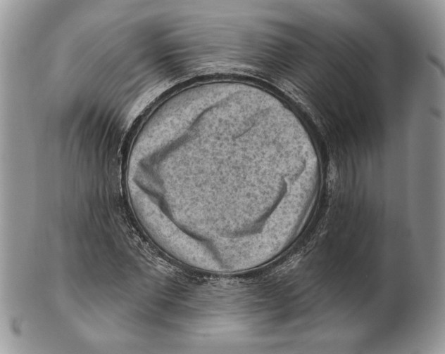 X0000101150877200807251046