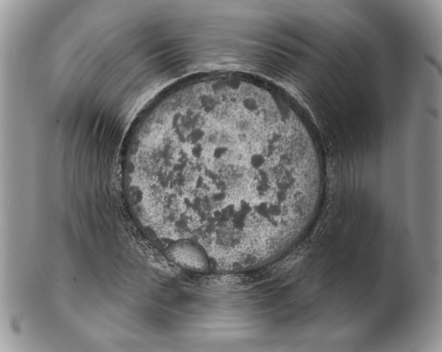 X0000101150879200807251046