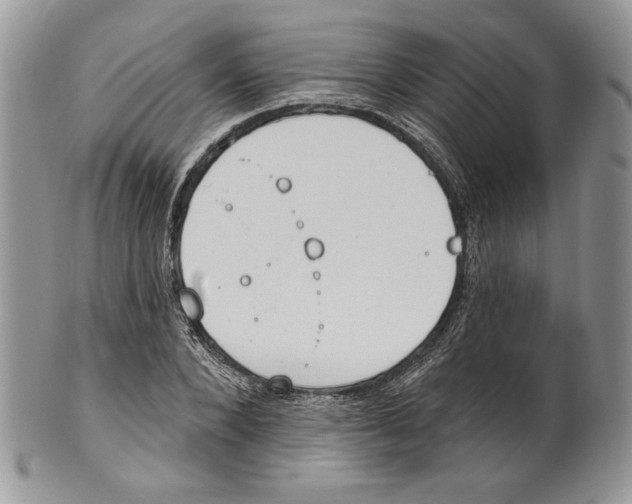 X0000101150880200807251046