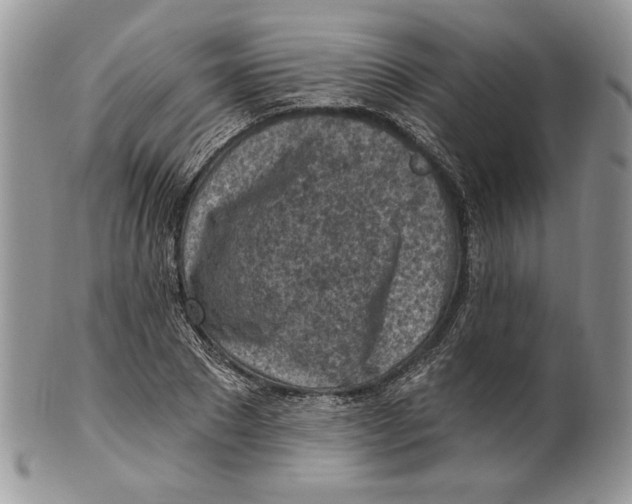 X0000101150881200807251046
