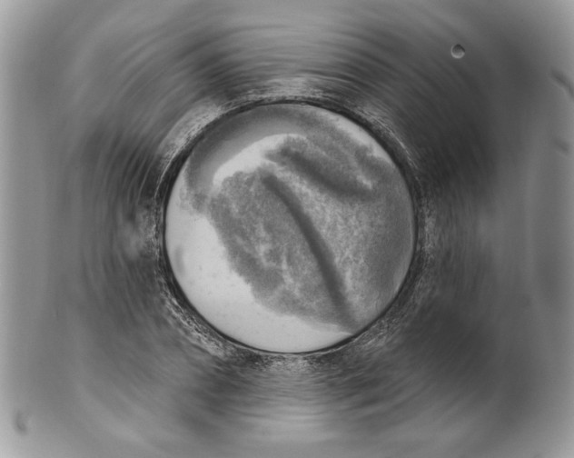 X0000101150882200807251046