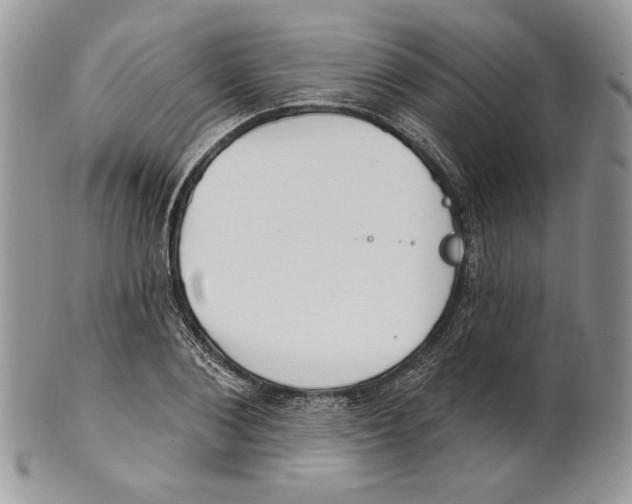 X0000101150884200807251046