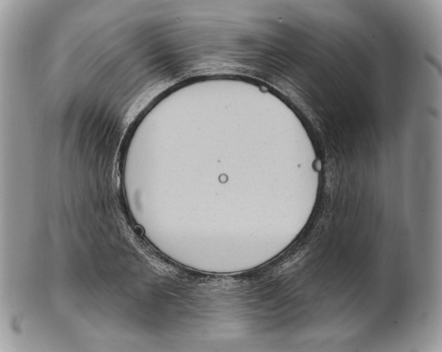 X0000101150885200807251046