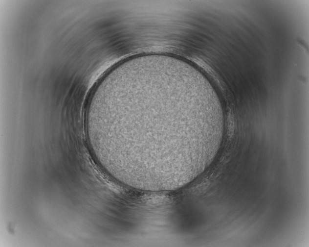X0000101150886200807251046