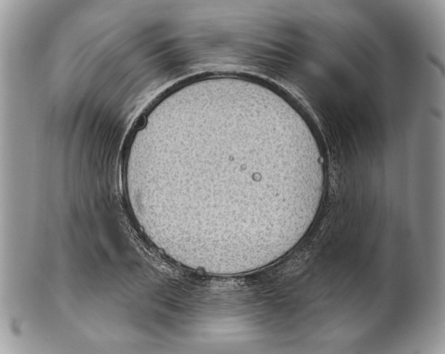 X0000101150887200807251046