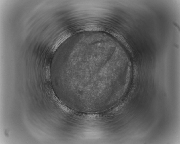 X0000101150889200807251046