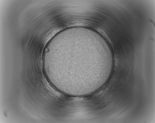 X0000101150890200807251045