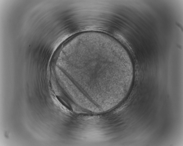 X0000101150892200807251045