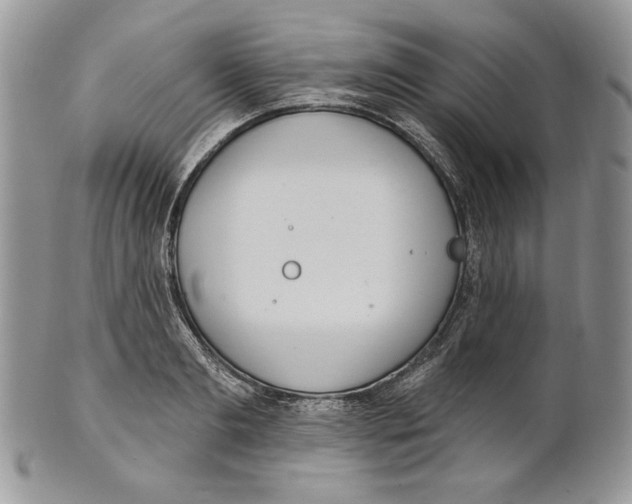 X0000101150893200807251045
