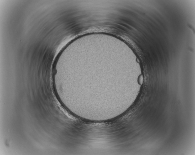X0000101150894200807251045