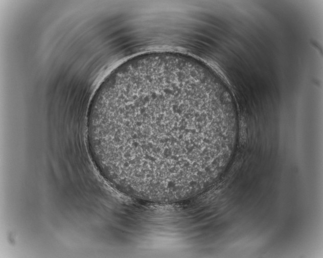 X0000101150895200807251045