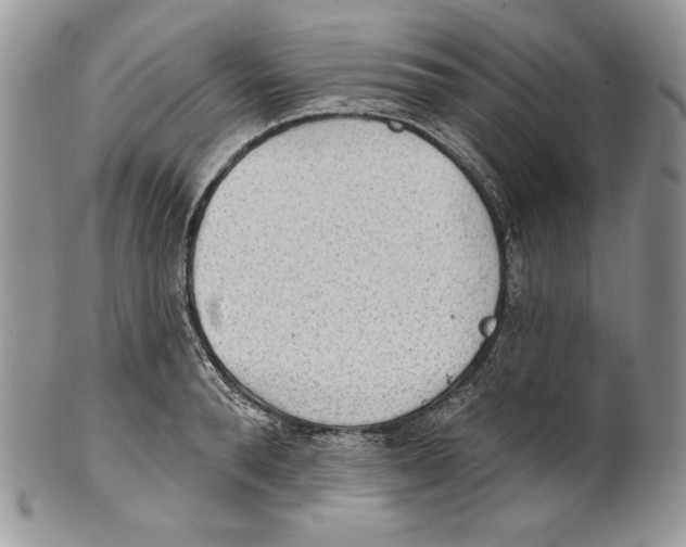 X0000101150896200807251045