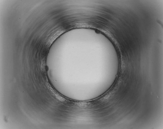 X0000101150897200807251045