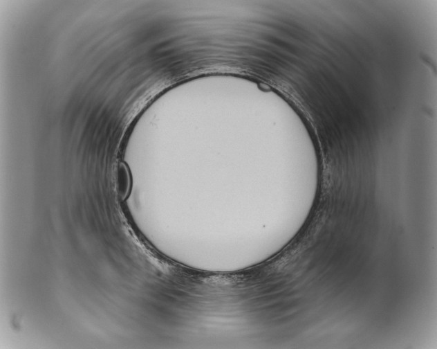 X0000101150898200807251045