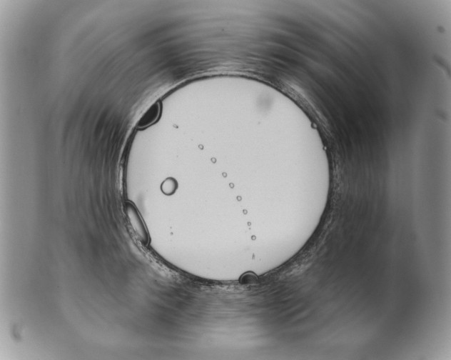 X0000101150900200807251045