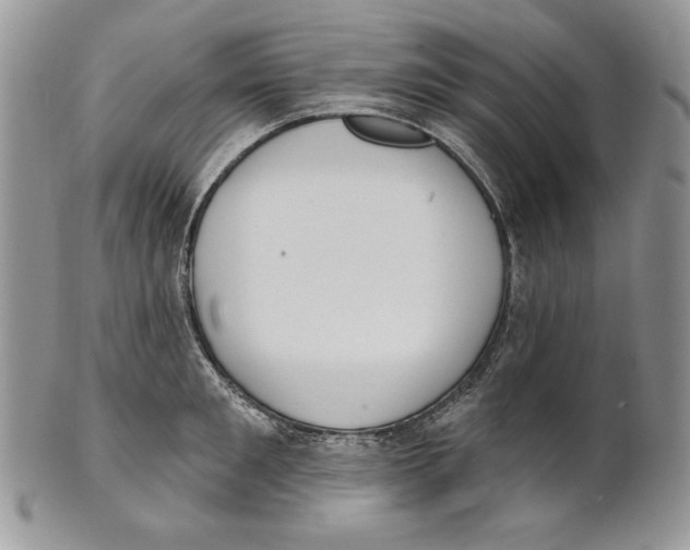 X0000101150901200807251045