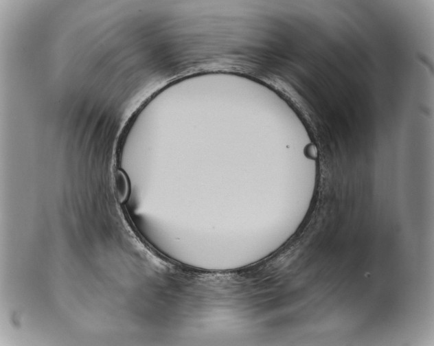 X0000101150902200807251045