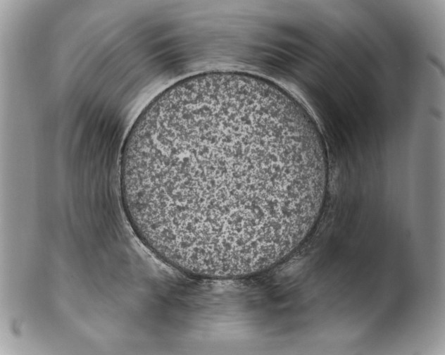 X0000101150903200807251045