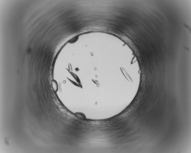 X0000101150904200807251045