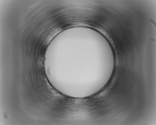 X0000101150905200807251045
