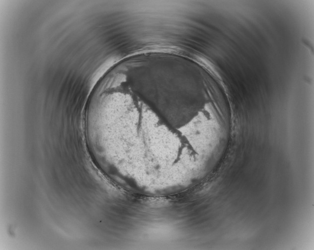 X0000101150907200807251045