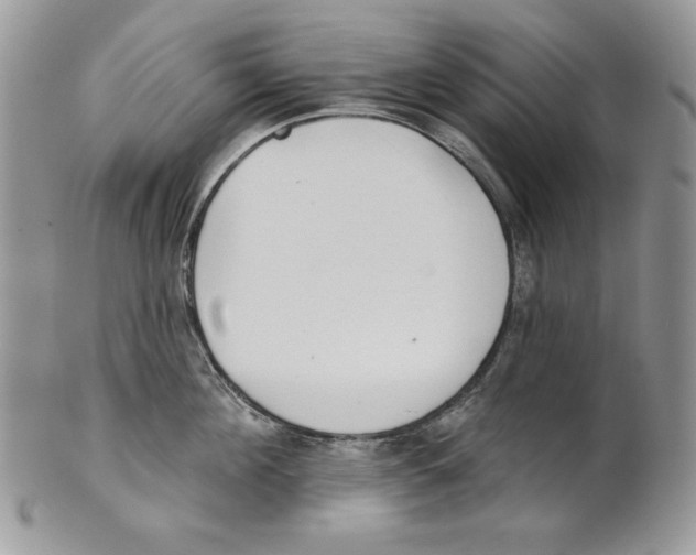 X0000101150908200807251045