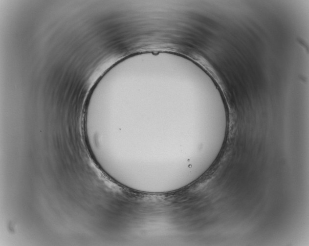 X0000101150909200807251045